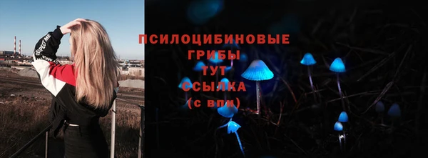 spice Белокуриха