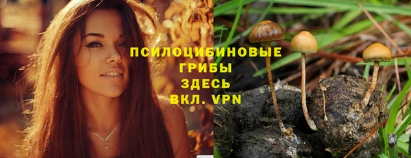 spice Белокуриха